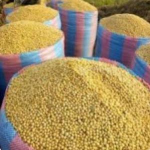  Matière Première Maïs, Arachide, Sésame, Riz, - fruits secs et graines grillées vente et livraison des produits agricoles et maraichers.  nous sommes au togo et nous cherchons des fournisseurs pour vendre nos produits agricoles - soja,  arachides,  sésame,  maïs,  cajou,  riz,  fruits...
