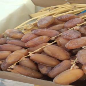  Dattes Fraîches Deglet Nour - fruits et légumes nous proposons &agrave; la vente une grande quantit&eacute; de dattes fra&icirc;ches (collecte de cette ann&eacute;e) de la marque deglet nour connues pour leur qualit&eacute; exceptionnelle et leur go&ucirc;t authentique. id&eacute;al pour les grossistes ou d&eacute;taillants recherchant un produ
