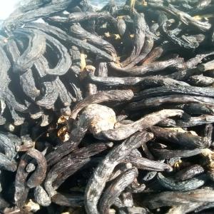  Vente De Poivre De Selim - épices aromates avez-vous besoin de poivre de selim ? nous vous proposons de l excellent qualité bio de poivre de selim disponible immédiatement au prix de 800 fcfa le kilogramme et de 750.000 fcfa la tonne (prix bord champ et dans nos locaux à man et à danané) possibilité 