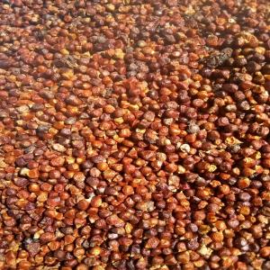  Vente Et Livraison De Maniguette, Atakoum - épices aromates profitez de nos excellentes qualités de la graine du paradis plus connu sous le nom de piment de guinée,  maniguette,  ou atakoum. nous avons en stock plusieurs tonnes de l aframomum malagueta au tarif bord champ de 1.600.000 xof la tonne. possibilité de livraison partout en c&oci