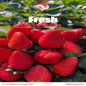  Fresh Strawberry - fruits and vegetables we would like to offer our fresh strawberry  origin- egypt  availability-     strawberry 's season from now.  price- depended on package and destination  strawberry  specification--     shipping - by air only    class 1  packing available--  depended on the order,   company name - alshams company for