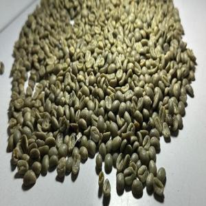  Café Vert 100% Arabica Origine Colombie - café cacao thé café vert de colombie 100% pur arabica (non torréfié). certifié fair trade,  100% bio,  produit éco-responsable. taille 12, 14 et 17. café lavé pret pour  exportation fob ou cif.