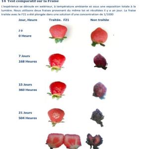  F21, Un Produit Révolutionnaire - fruits et légumes f21,  un produit révolutionnaire prolongeant la durée de vie des produits frais jusqu'à 21 jours après leur maturité.  nous sommes ravis de vous présenter notre innovation révolutionnaire,  le f21,  développé par  une équipe passionn