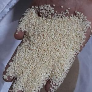  Sésame Blanc - céréales plus de 1000 tonnes s&eacute;same blanc disponible au mali et au bourkina fasso tout int&eacute;ress&eacute; peut nous contacter via whatsapp.
