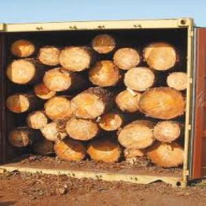  Recherche Fournisseur De Grumes De Bois Résin - bois charbon fibre nous sommes une entreprise sp&eacute;cialis&eacute;e dans la production de granul&eacute;s de bois. dans le cadre de notre activit&eacute; nous recherchons des fournisseurs fiables de grumes de bois r&eacute;sineux en grande quantit&eacute;. type de bois recherch&eacute; grumes de bois r&ea