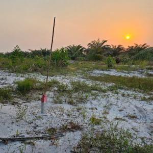 Terrain à vendre à Assouindé-Assinie en Côte  - mine terrain concession plusieurs lots de terrains de plus de 600 m2 par lot à vendre à assouindé-assinie en  côte d'ivoire. idéal pour vos projets d'investissement immobilière. site prisé,  de standing,  dans une zone balnéaires. tarifs abordable. 