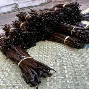  La Recherche D'un Acheteur De Vanille - épices aromates je suis à la recherche d'un client pour l'achat de 10 kg de vanille venant des iles comores .le kg est 150 