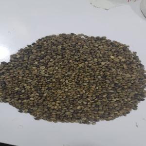  Vente Café - café cacao thé cherche des clients en tunisie. je mets à leurs dispositions une quantité de haute qualité café. prix peu négociable n'hésitez pas à me contacter 