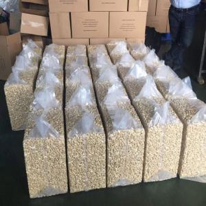cashew nuts  - seed plant seed we have cashew nuts available in large quantities (w320,  w240,  w180 ). the buyer can visit our warehouse . the goods are ready to export. thanks