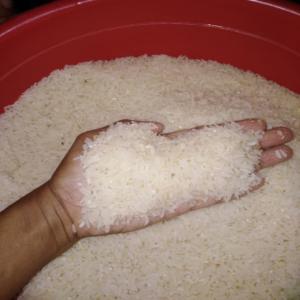  Vente Riz Parfumé Madame Rose - féculents nous sommes producteur de riz madame rose. un type de riz tres parfume et de bonne qualite. nos prix est de 250000ar le sac. si vous etes interessé. veuillez me contacter 