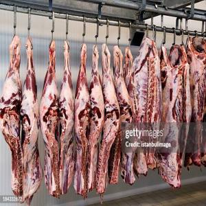Cherche carcasse bovine d'origine italienne  - viandes et oeufs nous sommes une société algérienne d'import,  --nous cherchons viande bovine fraîche en carcasse d'origine d'italie,  nos besoins sont 2 remorque de 21 tonne par semaine 