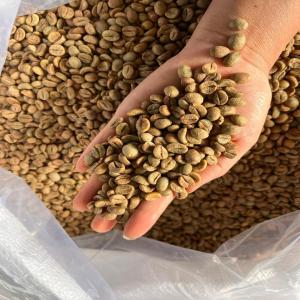  Green Café - coffee cocoa tea coffee sales company based in dubai we offer exceptional coffees mainly from vietnam india colombia and el salvador as well as roasting machines. with a successful collaboration for more than 4 years with the leading national player in morocco (dahab coffee) we are looking to develop partnershi