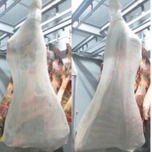  Viande De Boeuf Congelé - viandes et oeufs nous pouvous exporter 10 conteneurs de 40' par mois de viande de boeuf congel&eacute; ,  dirrectement de l'abattoir au client ,  nous travaillons seulement la bonne qualit&eacute; avec certificat halal