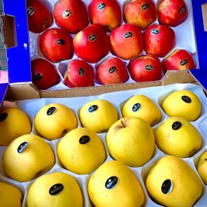  Des Clients - fruits et légumes  a tous j'ai les pommes rouges et vertes de la meilleure qualit&eacute; d'alg&eacute;rie. si vous etes int&eacute;ress&eacute; contactez moi sur whatsapp ou sur gmail. nous avons h&acirc;te de vous accueillir et merci.
