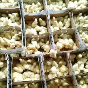  Demande D'investissement Pour Un Projet - viandes et oeufs nous lançons un projet de production de poulets de chair,  démarrant avec 200 sujets,  avec une vision d expansion progressive pour répondre à la demande croissante du marché local. le projet vise une production rentable dès le début,  avec une augmentat