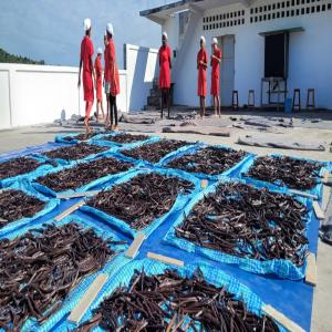  Madagascar Vanilla Official Exportater - aromatic spices we have been living our passion for vanilla since 2018. as an official vanilla preparer and exporter in madagascar,  we carefully craft exceptional vanilla,  combining artisanal expertise with deep respect for local producers.--our diverse range includes black gourmet (split and non-split),  rouge euro
