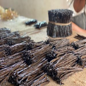 Vanille Bourbon - épices aromates bonjour, --aujourd'hui,  nous avons le plaisir de vous pr&eacute;senter notre entreprise et de vous expliquer pourquoi nous choisir. nous sommes producteurs de vanille,  situ&eacute;s &agrave; madagascar,  plus pr&eacute;cis&eacute;ment dans la province d'antsiranana,  dans la r&eacute;gion sava,  &agrave