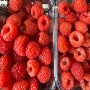  Export Fruit Legume Maroc Vers France - fruits et légumes nous exportons productions fruit frais directe r&eacute;coltant,  nous proposons actuellement des framboises adelitas ( 125g/palette 365kg ),  myrtilles,  tomate cerise.--nous contacter pour recevoir les tarifs du jour