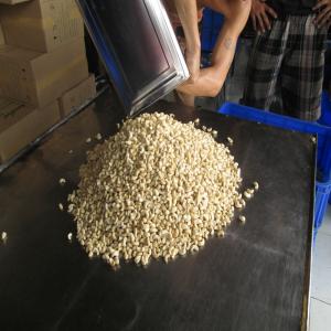  Quality Cashew Nuts From Thailand - seed plant seed we supply the raw cashew nuts with the following specifications---grade- white wholes- w240,  w280,  w290,  w320,  w450 w500 --scorched wholes- sw,  sw180,  sw210,  sw240,  sw320,  sw450,  sw500--s (splits)- lwp(large white pieces),  swp(small white pieces)--we can customize order as per buyer's requirement.