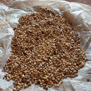  Café Arabica Non Torréfié - café cacao thé nous sommes à la recherche des acheteurs de café arabica non torréfié de la qualité g1 et g2,  faible teneur en caféine,  cultivé dans des sols volcaniques.   contactez-nous nous maintenant directement par whatsapp pour avoir plus d'informations sur les