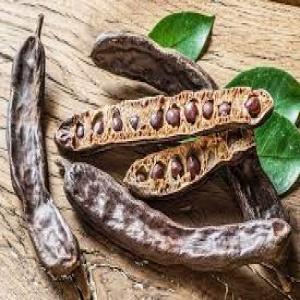  Herbe De Caroube - épices aromates bienfaits de la caroube pour la santé--parce que la caroube contient de nombreux nutriments importants,  sa consommation a un effet positif sur la santé. parmi les avantages les plus importants de la caroube,  nous mentionnons les suivants - améliorer le processus de digestion et 