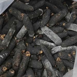  Concombre De Mer - poissons bonjours je suis un jeune qui cherche à créer son propre entreprise pour la vente d un produits rare le concombre de mère en grande quantité le produit et déjà préparé près à expédier je cherche des clients sérieux u