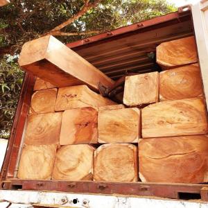  Vente De Bois - bois charbon fibre je vend du bois lingué ou doussié gros,  moyen et petit provenance  guinée bissau destination de préférence vietnam  