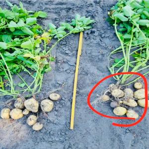  Seeking Agents/representatives Worldwide - employment representation announcement- looking for people with contacts in the agricultural world--we are looking for representatives,  internationally,  for the company optima quanta,  to help farmers to increase their yield,  using quantum frequency.--our company is specializing in innovative agricultural solutions based on q