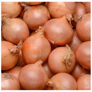  Domaine Agricole - céréales je suis agriculture et businessman je recherche des partenaires et fournisseurs en produits agricoles pour l'afrique de l'ouest 