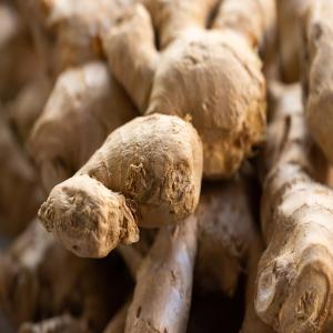  Gingembre 100%bio Frais - fruits secs et graines grillées  nous recherchons des clients pour notre future r&eacute;colte de gingembre 100% bio cultiv&eacute; au cameroun dans la r&eacute;gion de l'ouest nombre de tonne attendu 40 tonnes.