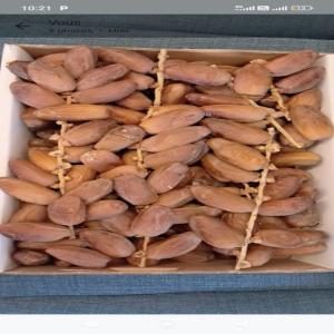  Dattes Fraiches Deglet Nour - fruits secs et graines grillées importateur et fournisseur   pr&eacute;sente un nouveau n&eacute; du sud tunisien pour le march&eacute; mondial des dattes branch&eacute;es deglet nour et toutes ses d&eacute;riv&eacute;s,  c est un produit deglet nour 100% naturel. nous tenons &agrave; vous proposer un produit sans aucun ajout de su