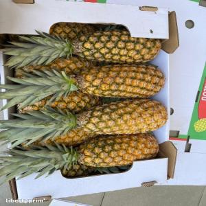  Fruits D'ananas Pain De Sucre Benin - fruits et légumes je dispose de plusieurs tonnes d'ananas capable de fournir plus de 5 tonne d'ananas pas semaine pour 1kg d'ananas a 400fcfa sans frais supplémentaires,  je dispose d'emballages et de moyens permettant de vous envoyer plusieurs palettes d'ananas via corsair pour paris a un prix au kg de 1, 90  c