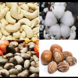  Les Produits Tropicaux - café cacao thé nous sommes &agrave; la recherche de clients potentiels pour nos produits tropicaux. des produits tropicaux comme  ,  le caf&eacute;,  cacao ,  coton ,  acajou,  s&eacute;same ,  cuivre et aluminium  disponibles en qualit&eacute; et en grande quantit&eacute;. nous proposons &agrave; la vente une grande qu