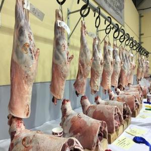  Certified Fresh Lamb Carcass Ready - meat and eggs we are distributor and wholesale supplier of livestock and halal lamb meat and we sell at affordable prices, --feel free to contact for more details and recent stock photos.
