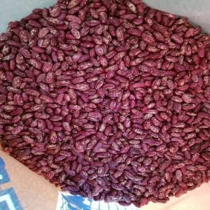  Haricots Rouges - céréales nous sommes fiers d'etre l'un des plus grands producteurs de haricots rouges de première qualité. ces haricots sont un ajout sain et nutritif à tout repas,  offrant une gamme de bienfaits pour la santé ---pourquoi choisir nos haricots rouges ?--  riche en nutriments - rich