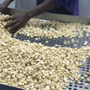  Noix De Macadamia Du Kenya - fruits secs et graines grillées  --les noix de macadamia de tridge proviennent de sources durables de plus de 5 000 petits exploitants agricoles. elles sont fra&icirc;chement r&eacute;colt&eacute;es et transform&eacute;es conform&eacute;ment aux directives des syst&egrave;mes de s&eacute;curit&eacute; alimentaire fssc 22000 pour g