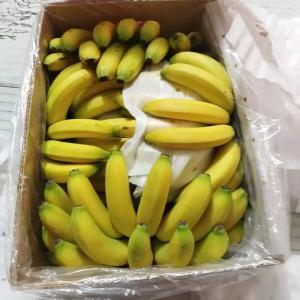 Cavendish Banana - fruits and vegetables we have a large stock of cavendish bananas that are very sweet,  we are looking for a buyer for long-term business,  the price is negotiable regarding the destination and we can export.