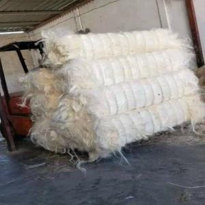  Fibre De Sisal Ssug Grade Fibre Naturelle - autres  --nous sommes fiers d'offrir de la fibre de sisal 100 % naturelle,  parfaite pour diverses utilisations industrielles et commerciales. vous trouverez ci-dessous les spécifications détaillées -----spécifications des matériaux--matériau - sisal--catégor
