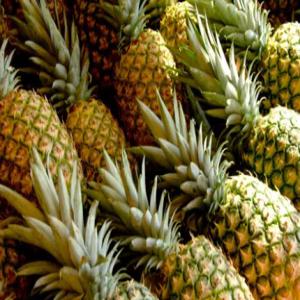  Fournisseur Ananas, Mandarine Et Curcuma - fruits et légumes bonjour,  repr&eacute;sentants directs d'une coop&eacute;ratives avec mandats depuis la cote d'ivoire,  nous disposons d'une importante quantit&eacute; d'ananas et de mandarine avec un prix tr&egrave;s abordable. nous recherchons des partenaires acheteurs s&eacute;rieux partout dans le monde pour une 
