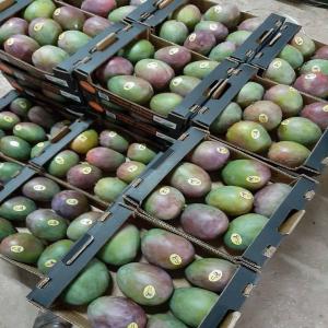  Fruits Et Légumes Exotiques Et Tropicaux - fruits et légumes importateur et sourceur de fruits exotiques,  tropicaux,  ethniques   fournisseur pour grossistes,  centrales d achats,  restauration collective.----nous sommes kodra-export,  spécialistes de l'importation et du sourcing de fruits et légumes exotiques et tropicaux en provenance d'afrique,  d