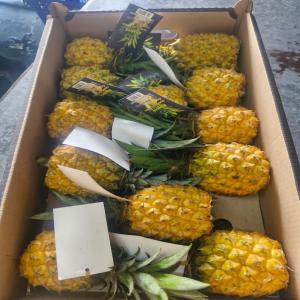  Victoria Pineapples - fruits and vegetables    sale of victoria pineapples   premium quality,  bulk availability   ----   product- victoria pineapple--   origin- mauritius--   available quantity- shipping in pallets of 96 cartons--   packaging- cartons of 4-4.5-5 kg--   available sizes-  8,  9, 10--   shipping mode- air freight--   incoterms- ac