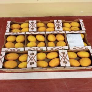  Canari Melons - fruits and vegetables    sale of canari melons from senegal   premium quality,  bulk availability   ----   product- canari melon--   origin- senegal--   available quantity- shipping in pallets (70 or 140 cartons)--   packaging- cartons of 5-12 kg--   available sizes- 5-6-9-11-12q-12l-15q-15l--   shipping mode- sea or air 