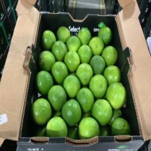  Tahiti Limes - fruits and vegetables    sale of tahiti limes from brazil   premium quality,  bulk availability     ----   product- tahiti limes--   origin- brazil--   available quantity- shipping in pallets--   packaging-----cartons of 4.5 kg--pallet- 252 cartons--   available calibers- 42,  48,  54,  60--   shipping mode- sea or air freig