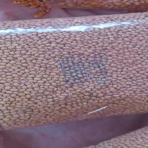  Vente Des Semences Et Plantes - semence graine plant vente en gros des plantes arbres fruitiers et m&eacute;dicinales ,  vente en gros et d&eacute;tails des semences maïs,  haricots et soja produites et certifi&eacute; par l'irad.