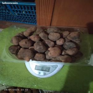 truffe rouge  algerie  - fruits secs et graines grillées bonjour --nous avons des truffe algerie disponible nouvelle récolter  --quantité illimité --disponible  en algerie et en france  