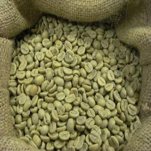  Arabica And Robusta Coffee Available - café cacao thé  kenya washed arabica and robusta coffee beans all grades and sizes for sale screen 17 up grade aa package 50/60kg/jute bag moisture max 12% defection/broken max 8% clean cupping no primary defection. custom documents origin of cert (form c or e) quality and weight cert phyto cert.