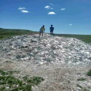  Fournisseur De Mica Ou Béryllium - Industrie exploitation vous cherchez un partenaire fiable pour un approvisionnement régulier en mica ou béryllium ? nous avons la solution pour vous !----  disponibilité garantie - jusqu'à 30 tonnes par semaine selon vos besoins.--  flexibilité et engagement - nous adaptons notre offre &