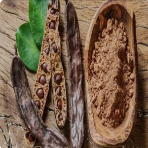  Caroube D'algérie - fruits et légumes je vous propose une très bonne qualité de caroube algérien pour la fabrication des médicaments et des compliments alimentaire à des prix raisonnables 
