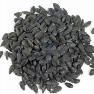  Graine De Tournesol Noire - semence graine plant nos graines de tournesol noires de qualité supérieure ont une peau fine avec un c ur dodu et riche en huile et constituent un moyen rentable de fournir cet aliment riche en énergie. nous prenons soin de sélectionner uniquement les meilleures graines et de les nettoyer rig