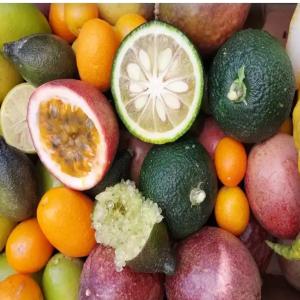  Pomme De Terre, Oignon, Ail Orange - fruits et légumes bonjour nous sommes fournisseur de pomme de terre d'origine egypte prix 300$ la tonne prix fob ,  mais aussi d'oignon,  d'ail et orange valencia au meilleur prix. nous sommes disponibles pour un travail de qualité sur le long terme,  quantité minimale 1 container 